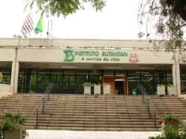 Vacina contra a dengue: motivo de orgulho e de preocupação ao mesmo tempo